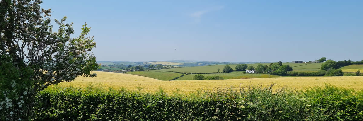 Image 03