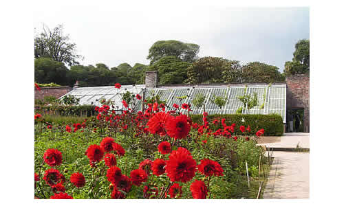 Lost Gardens of Heligan